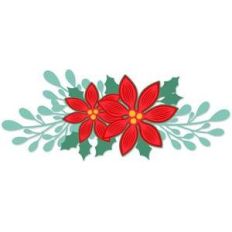 poinsettia sprig
