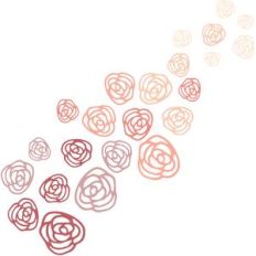 rose garden