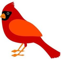 cardinal