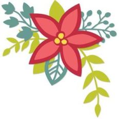 single poinsettia sprig