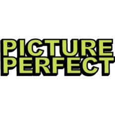 phrase: picture perfect