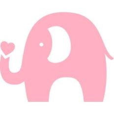 baby elephant