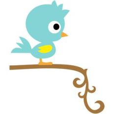 cute bird