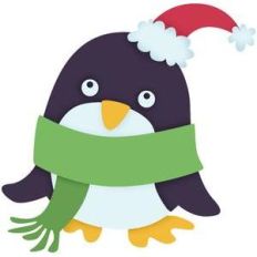 baby penguin