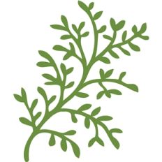 leafy sprig