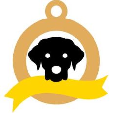 labrador charm