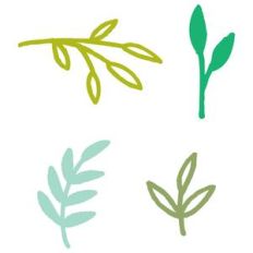 leaves and botanicals