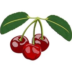 cherries (realistic)