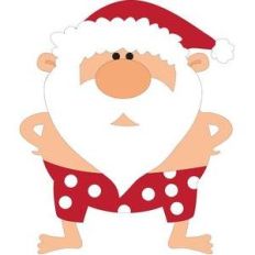 warmest wishes swim shorts santa