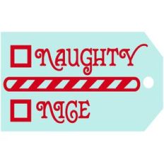 naughty nice tag