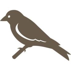 bird silhouette
