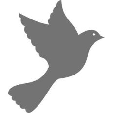 bird flying silhouette