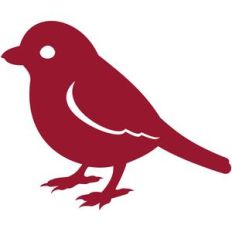 small bird