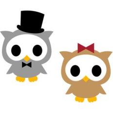 couple owls