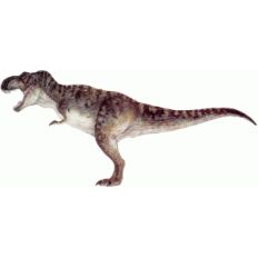 tyrannosaurus