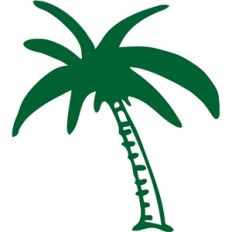 palm tree