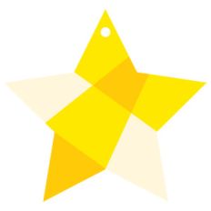 faceted star ornament tag