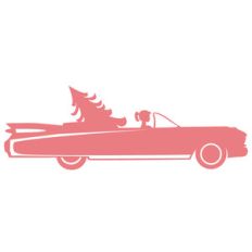 lady bringing home tree