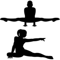 gymnastics