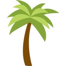 palm tree
