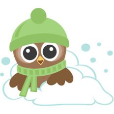 owl in snow