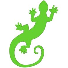 gecko lizard