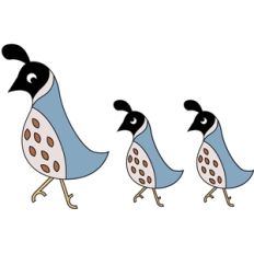 quail family