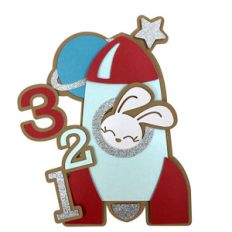 shuttle rabbit card