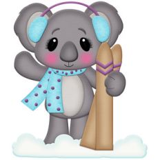koala snow skiing