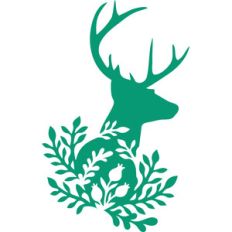 nature buck