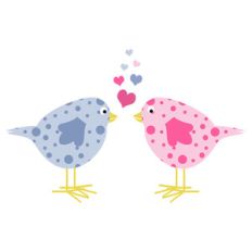 love birds