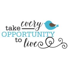 take every opportunity quote
