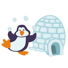 penguin and igloo