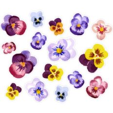 pretty pansies planning stickers