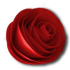 3d paper rose