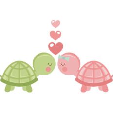 turtles in love