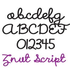 zp znut script