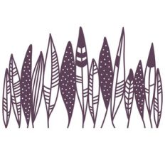 feathers