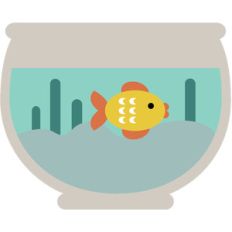 fish bowl
