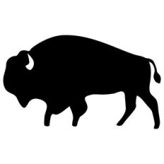 buffalo