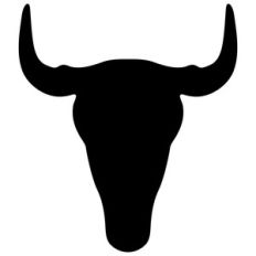 buffalo skull