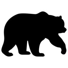 bear