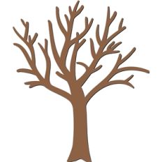 leafless - bare tree