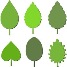 leaves set