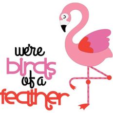 lets flamingle - birds of a feather