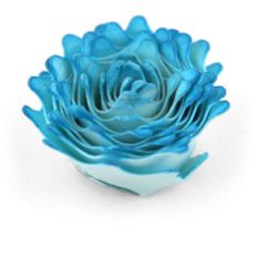 3d rolled mini flower