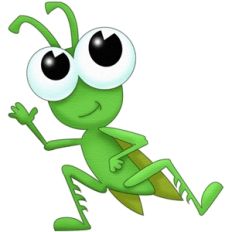 grasshopper