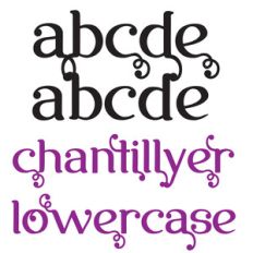 snf chantillyer lowercase