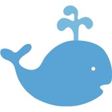 baby whale