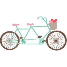 twin bike